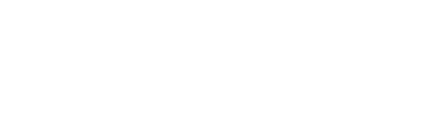 Capacita Solutions